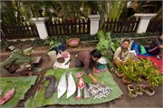 14687_Luang Prabang
